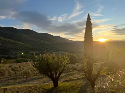 two trees in a field with the sunset in the background at Le Grand Hermas in Saint-Martin-de-Castillon