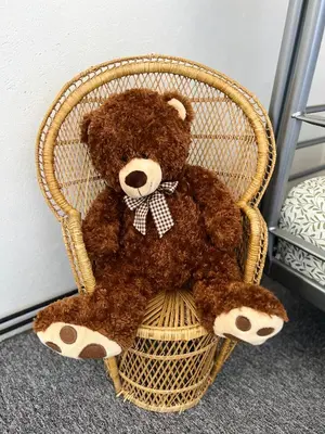 a brown teddy bear sitting in a wicker chair at Maison cosy en Provence Proche Golf Pont Royal in Alleins