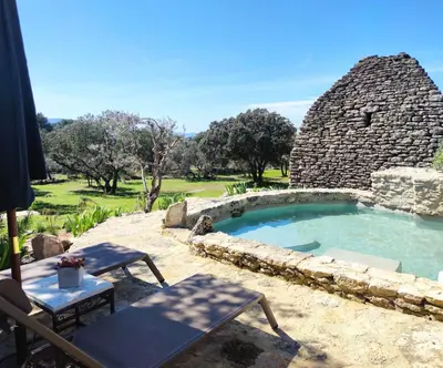a small swimming pool in a stone building at Le Mas Natán in Gordes