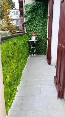 a patio with a table and a green hedge at Aix en Provence in Aix-en-Provence