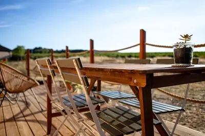 a wooden table with chairs and a potted plant on it at La Tiny House des Vignes du Château de Vauclaire in Meyrargues