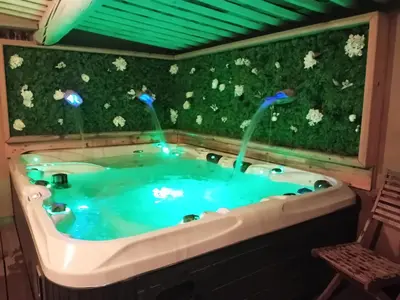 a jacuzzi tub with two water fountains at Mas d'Andiol in Plan-dʼOrgon