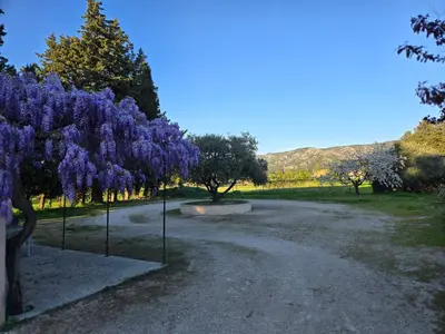 a tree with purple flowers on it next to a road at Luboregard in Cheval-Blanc