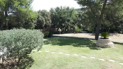 a garden with a tree and grass and trees at LS1-451 - Chambri in Orgon