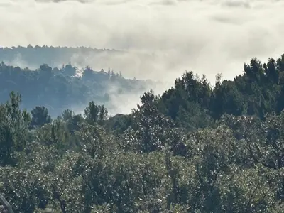 a view of a forest of trees with clouds in the background at Les goûts et les couleurs in Cucuron