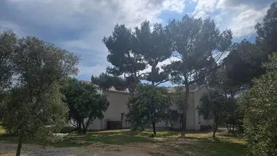 a white house with trees in front of it at L' Aglandau Au coeur des oliviers en Provence in Pélissanne
