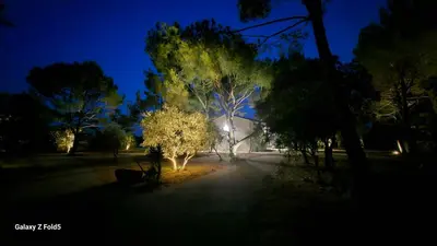 a street with trees and a house at night at L' Aglandau Au coeur des oliviers en Provence in Pélissanne