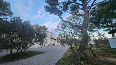 a tree in front of a white building at L' Aglandau Au coeur des oliviers en Provence in Pélissanne