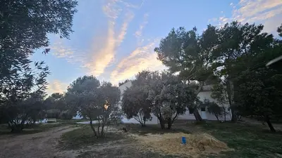 a view of a sky with trees and a building at L' Aglandau Au coeur des oliviers en Provence in Pélissanne