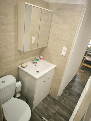 a bathroom with a white toilet and a sink at Logement 2 personnes in Morières-lès-Avignon
