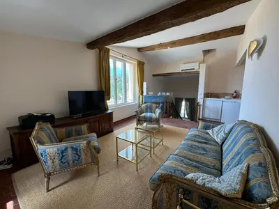a living room with a couch and chairs and a tv at Atlantes de Saint Saturnin in Saint-Saturnin-les-Apt