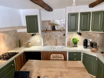 a kitchen with green cabinets and a sink at Charmante maison de village dans le Luberon in Beaumont-de-Pertuis