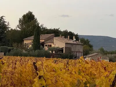 a vineyard with a house in front of a field at Villa Nicole avec piscine & jardin privés, parking dans le cœur du Luberon, proche Gordes, Roussillon, Goult, Bonnieux in Oppède