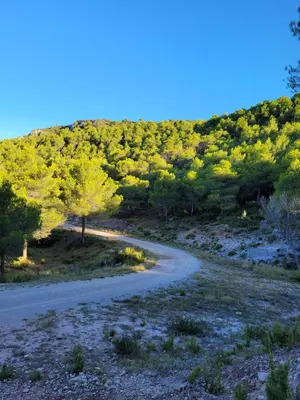 a winding road in the middle of a hill at Gîte Chrysalide du Luberon in Cheval-Blanc
