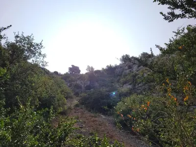 a path through the trees on the side of a hill at Gîte Chrysalide du Luberon in Cheval-Blanc