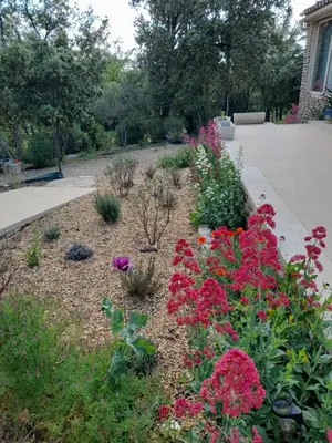 a garden with colorful flowers in a driveway at Le MAS DES VERGIERS in Murs