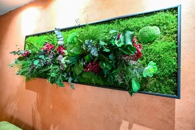 a display of plants and flowers on a wall at Le MAS DES VERGIERS in Murs