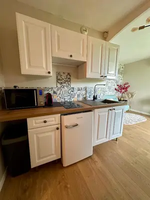 a kitchen with white cabinets and a microwave at 10 mn gare TGV Aix, parking gratuit & check-in autonome in Aix-en-Provence
