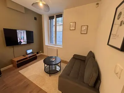 a living room with a couch and a tv at Charmant appartement aixois in Aix-en-Provence