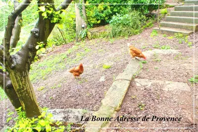 Gallery image of La Bonne Adresse - Gite ZENITUDE in Cornillon-Confoux