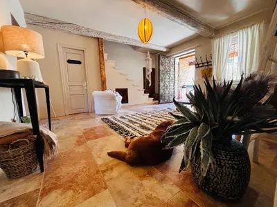 a dog laying on the floor in a living room at Le Beldi, Mas de Village 1870 in Saint-Saturnin-lès-Avignon