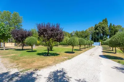 a dirt road with trees in a park at Le Mas des lys - Guest houses au coeur de la Provence dans un parc paysagé avec piscine, sauna et boulodrome in Grans