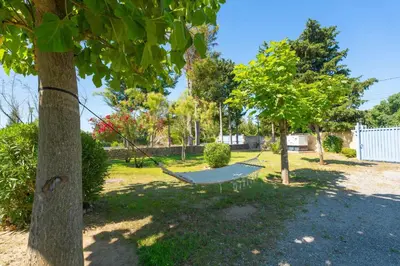 a hammock in a yard between two trees at Le Mas des lys - Guest houses au coeur de la Provence dans un parc paysagé avec piscine, sauna et boulodrome in Grans