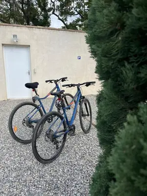 two bikes parked on gravel next to some trees at La Réserve Villa in Aix-en-Provence