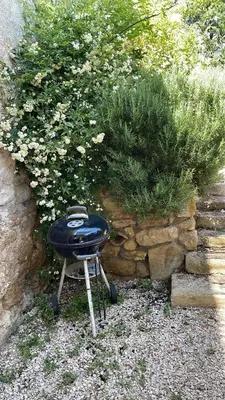 a barbecue grill sitting in front of a bush at Studio indépendant avec piscine proche Lourmarin in Lourmarin