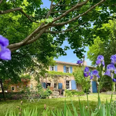 Mas provençal