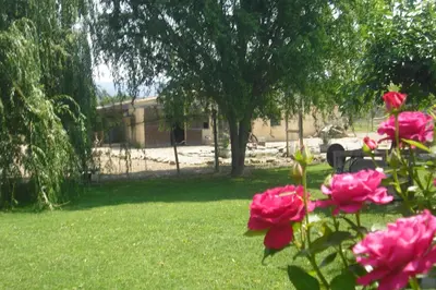 a group of pink roses in a yard at Lou mas li Pitchoun 