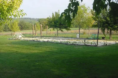 a garden with a bunch of animals in a field at Lou mas li Pitchoun 