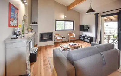a living room with a couch and a fireplace at Baumann 1 in Bédoin