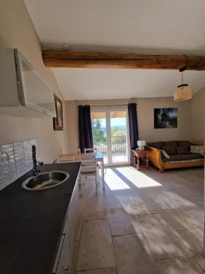 a kitchen with a sink and a living room at L'Oustalet des Vignes in Saint-Saturnin-les-Apt