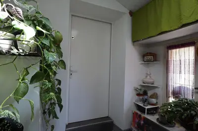 a hallway with green plants and a door at Studio cozy au coeur du village - Wifi - Netflix in Monteux