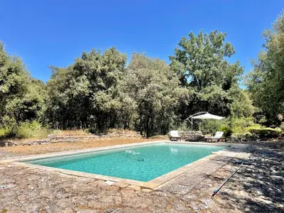 a swimming pool in the middle of a yard with trees at Maison paisible au coeur du Luberon in Bonnieux