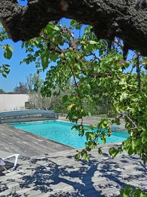 a swimming pool in a yard with a tree at 1 chambre 1 cuisine & salle d'eau privées avec piscine et jacuzzi in Eyragues