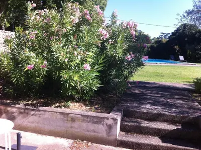 a bush with pink flowers in a park at Maisonnette dans un parc du 18ème in Aix-en-Provence