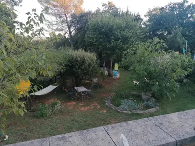 a garden with a hammock and some bushes and trees at Les chênes du lac in Saint-Saturnin-les-Apt