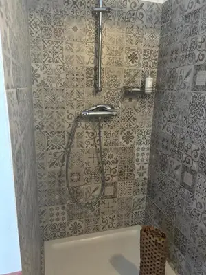 a bathroom with a shower and a bath tub at Brin d'Olivier en Luberon in Gargas