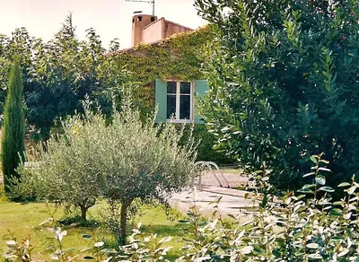 a garden with a house with a tree and a fountain at Maison de charme en Luberon à proximité de Lourmarin piscine privée et grand jardin in Puyvert