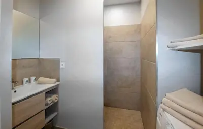 a bathroom with a shower and a sink at Charmant Mazet Provençal in Mazan
