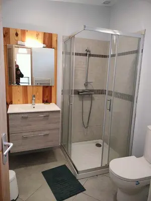 a bathroom with a shower and a toilet and a sink at GitesLuberon 4 in Charleval