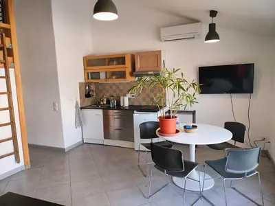 a kitchen with a table and chairs with a potted plant at GitesLuberon 5 in Charleval