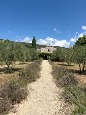 a dirt road in front of a house with trees at Bastidon Silvestre in Saint-Saturnin-les-Apt
