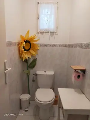 a bathroom with a toilet and a flower on the wall at Studio Les Alizés du Luberon in Pertuis