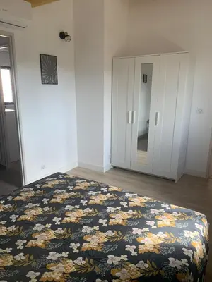 a bedroom with a bed with a dresser and a mirror at Maison rénovée 3 chambres in Mollégès