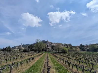 a field of vines with a blue sky and clouds at La Bergerie de Lorette - Au Cœur du Luberon in Bonnieux