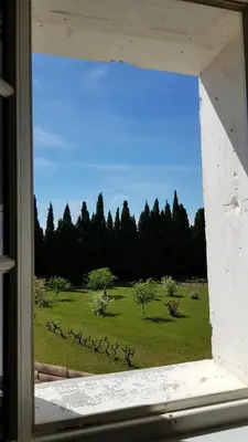 a window view of a field with a flock of birds at Provencal Farmhouse With Mont Ventoux Views in Carpentras