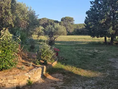 a field with trees and a stone wall at La BERGERIE in Pélissanne